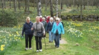 Fin promenad i Fagerås