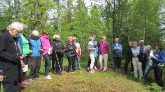 Bokskogen