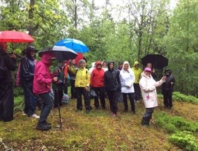 Regnig examen i bokskogen 2017