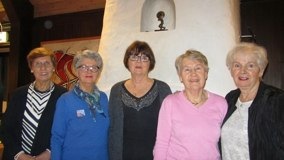 Motions styrelse vald 2017.<br />Ordförande Susanne Novenius i mitten.